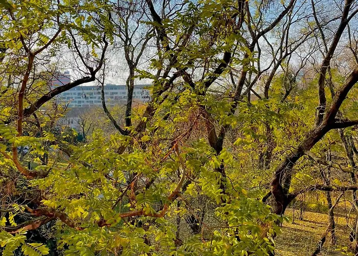 Apartmán Kukorelli *