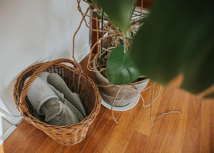 Kukorelli Apartament *